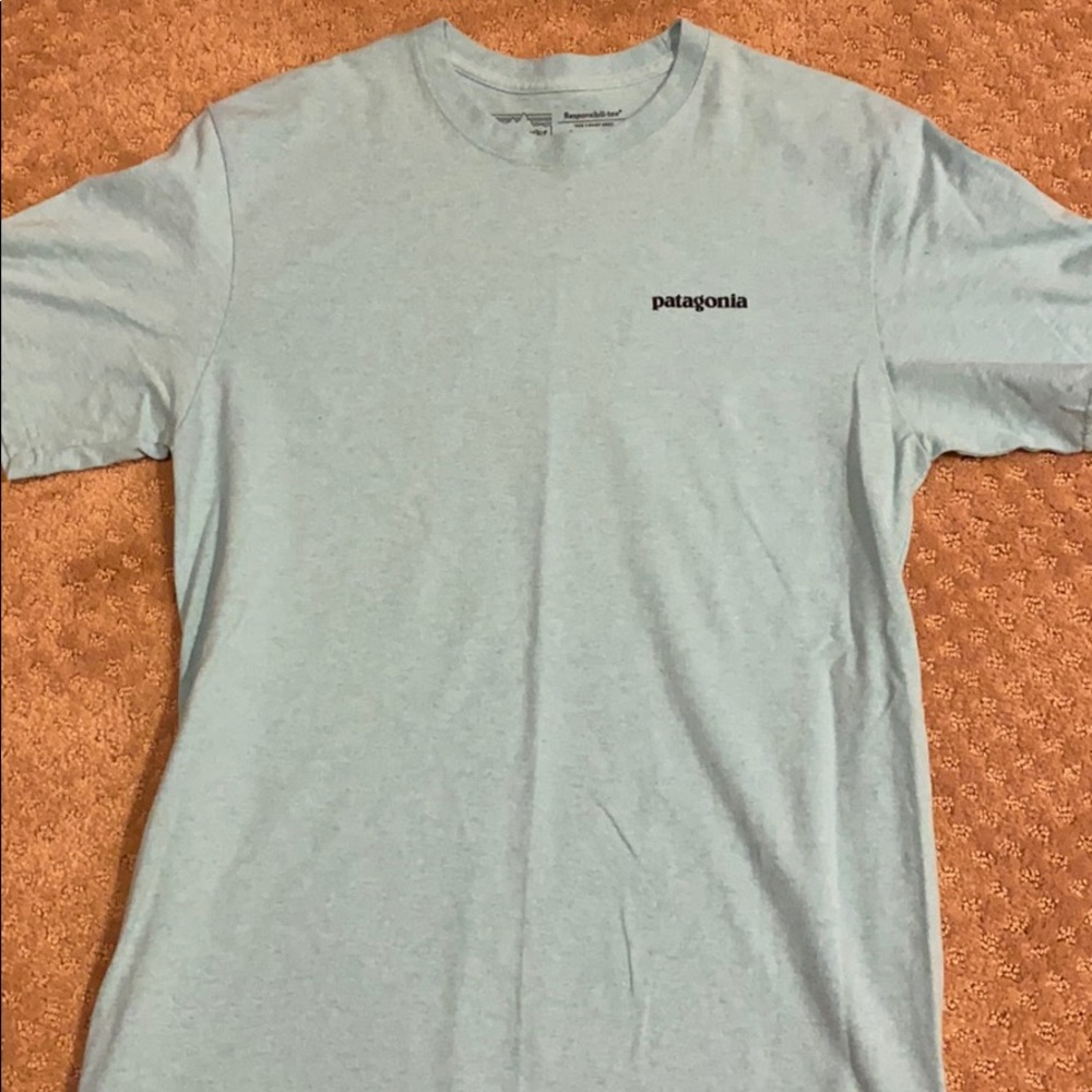Men’s Patagonia T-shirt